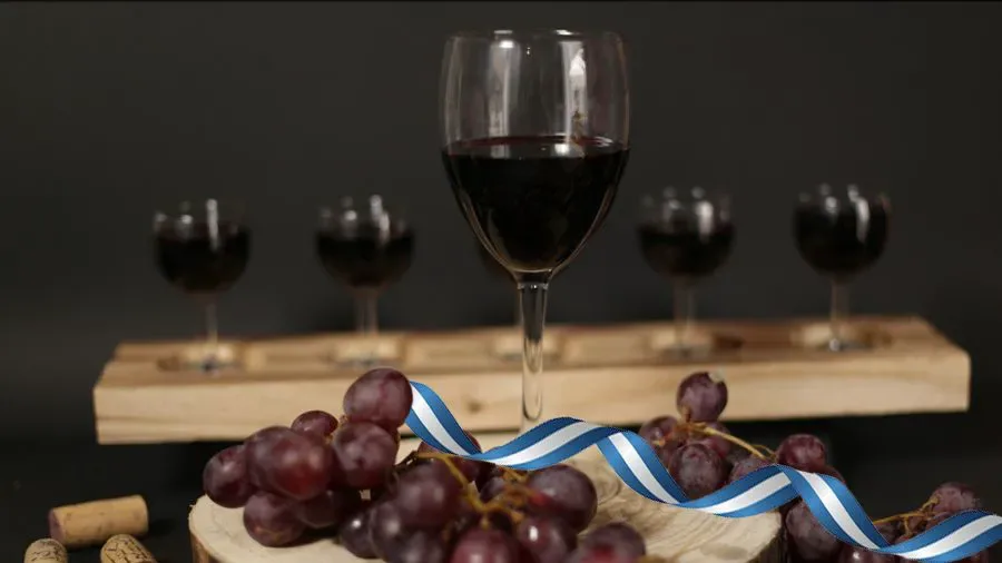 Vinos argentinos